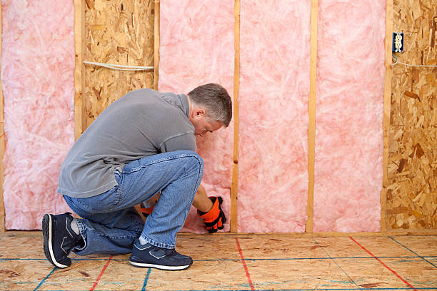 Types of Insulation We Offer in Branson, MO